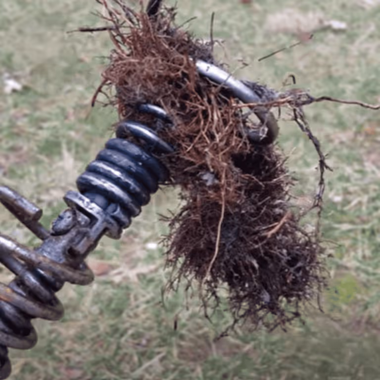 Cutting roots in sewer pipe