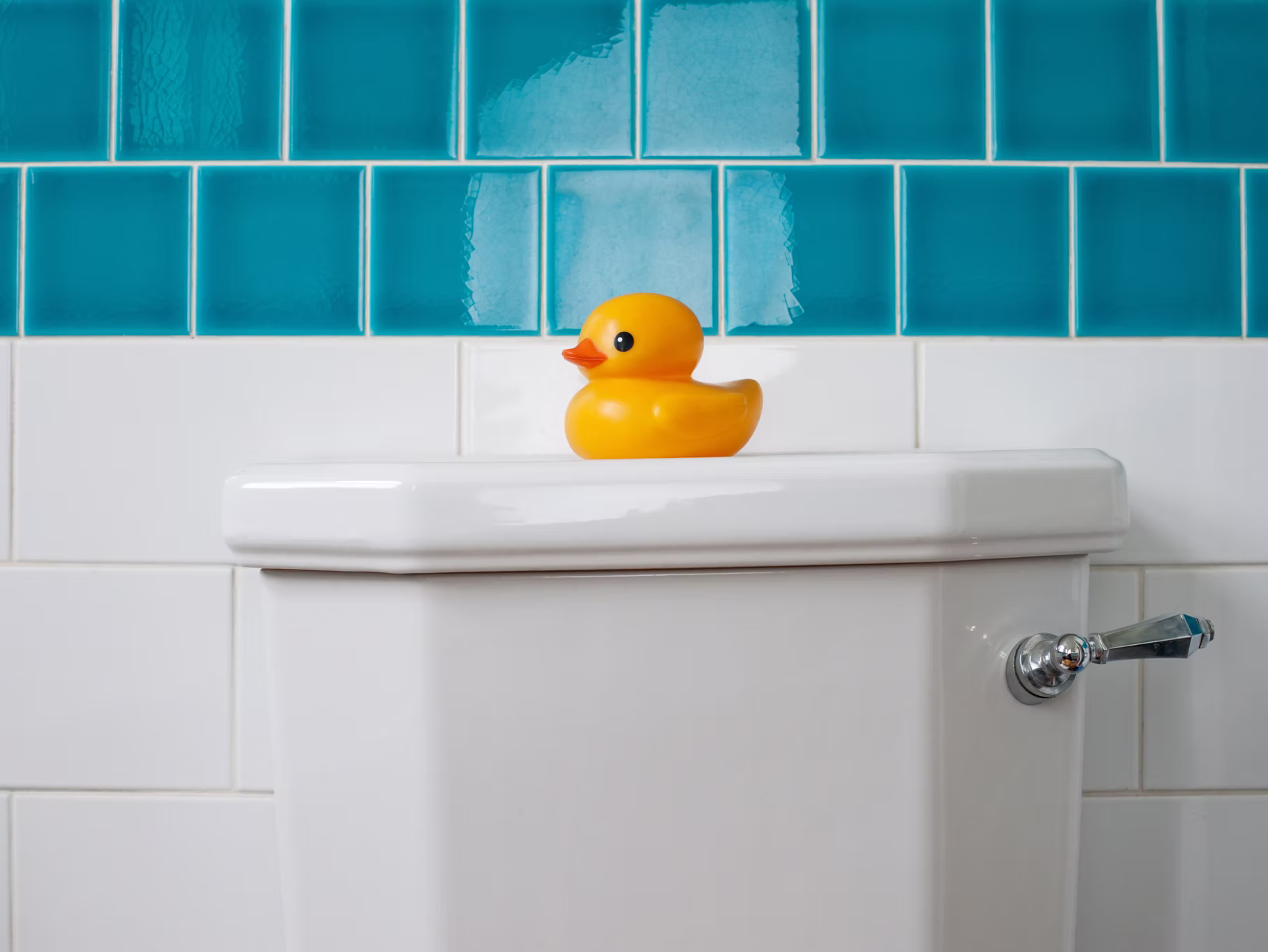Water Saving Toilets