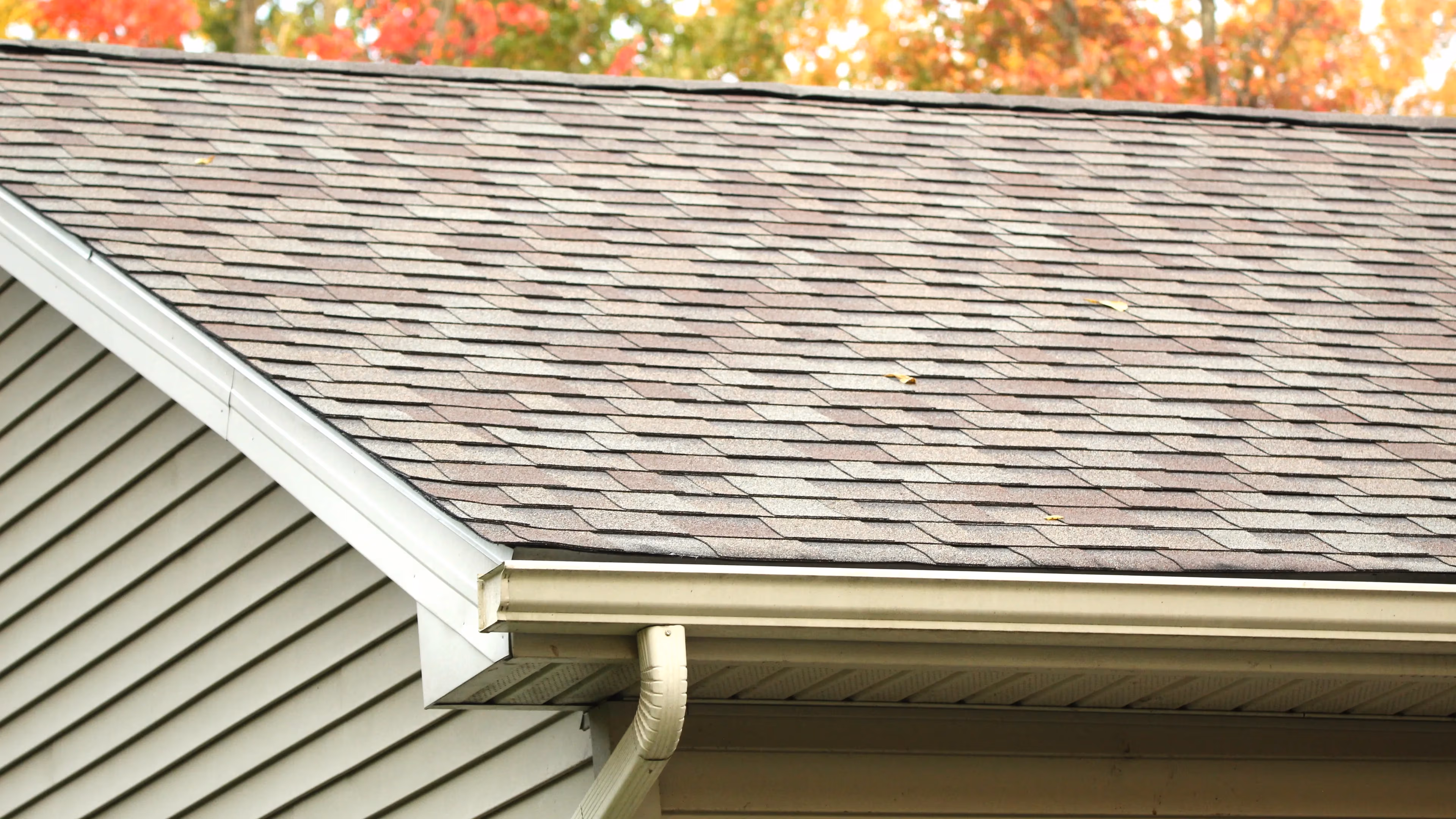 Close-up of a house roof with brown shingles and white gutters, with autumn-colored trees in the background.