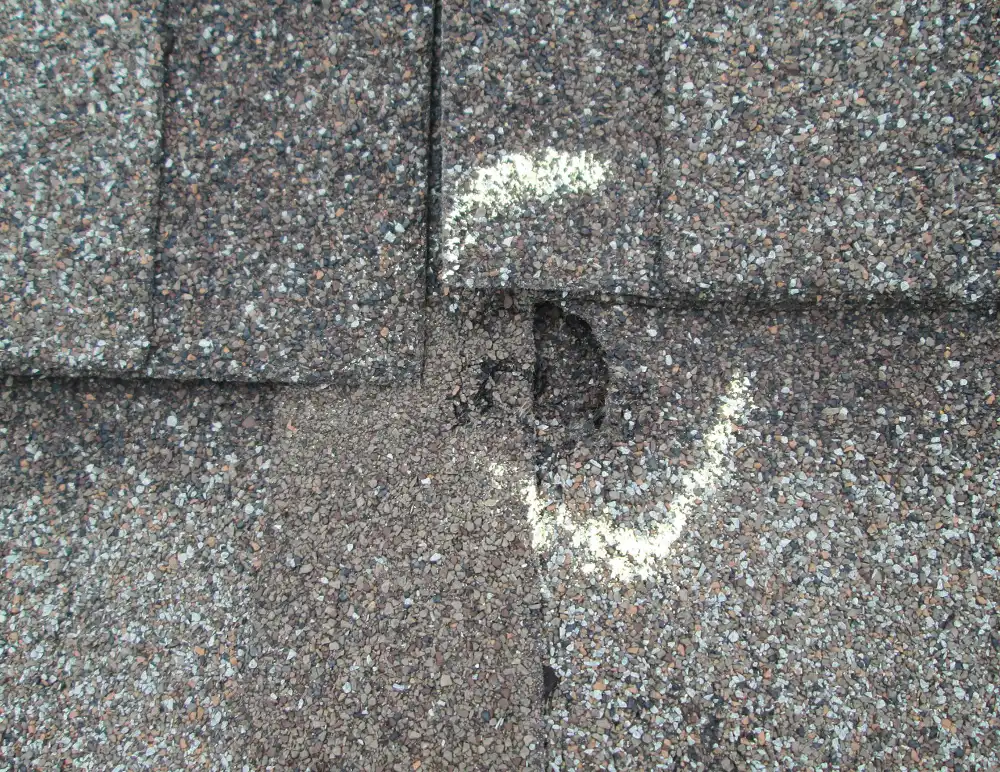 Close-up of asphalt roof shingles showing hail damage with a marked area around the impact spot.
