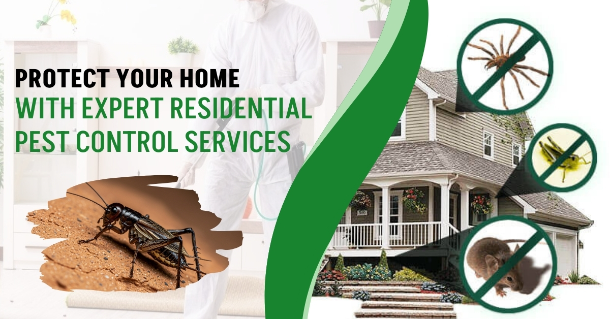 Protect Your Home with Expert Residential Pest Control Services