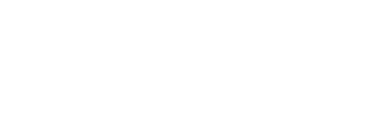 STL Web Studio logo with gradient color and modern design.
