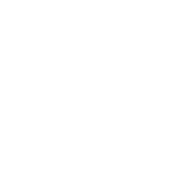 A pixelated internet icon.