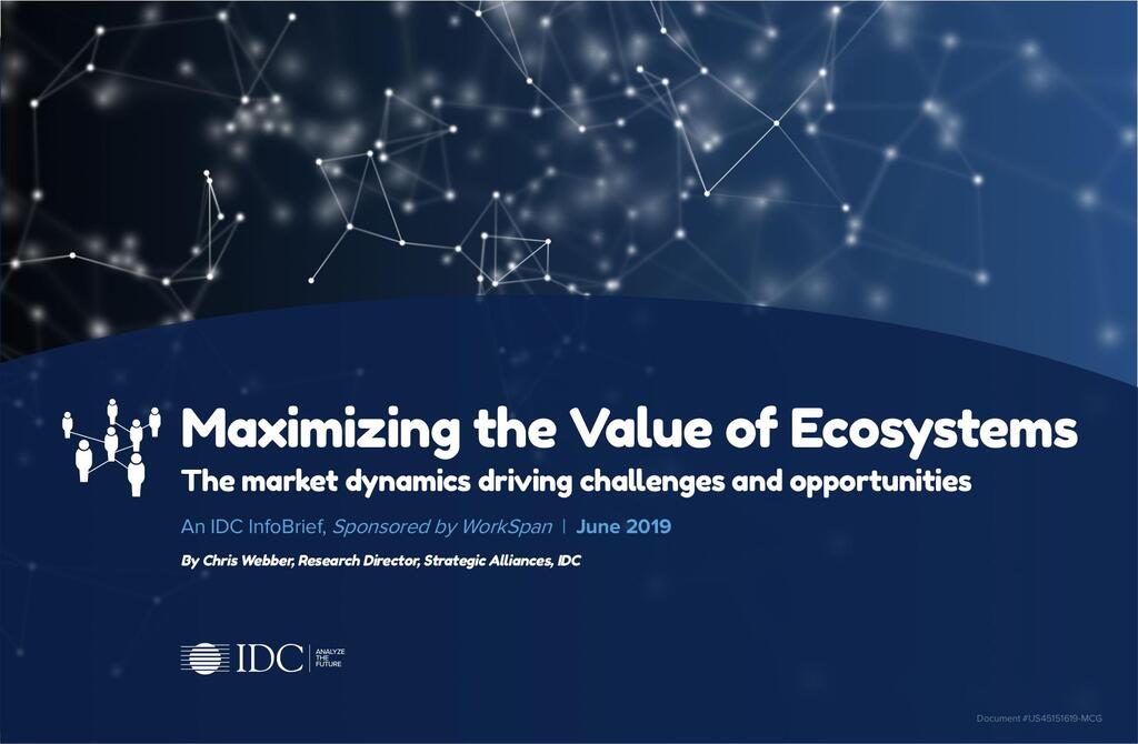 IDC InfoBrief: Maximizing the Value of Ecosystems