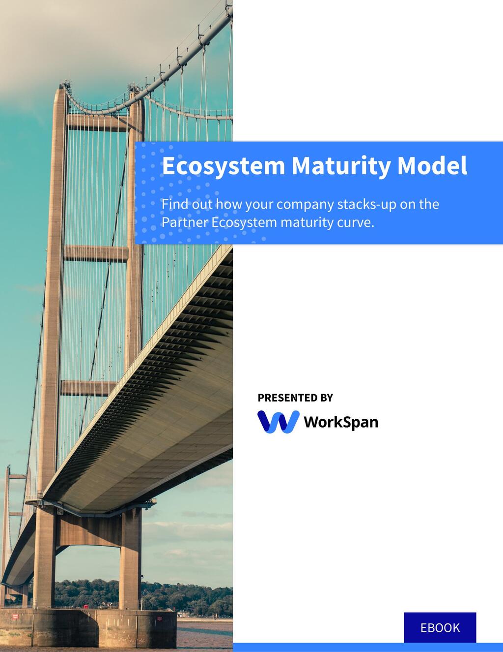 Ecosystem Maturity Model