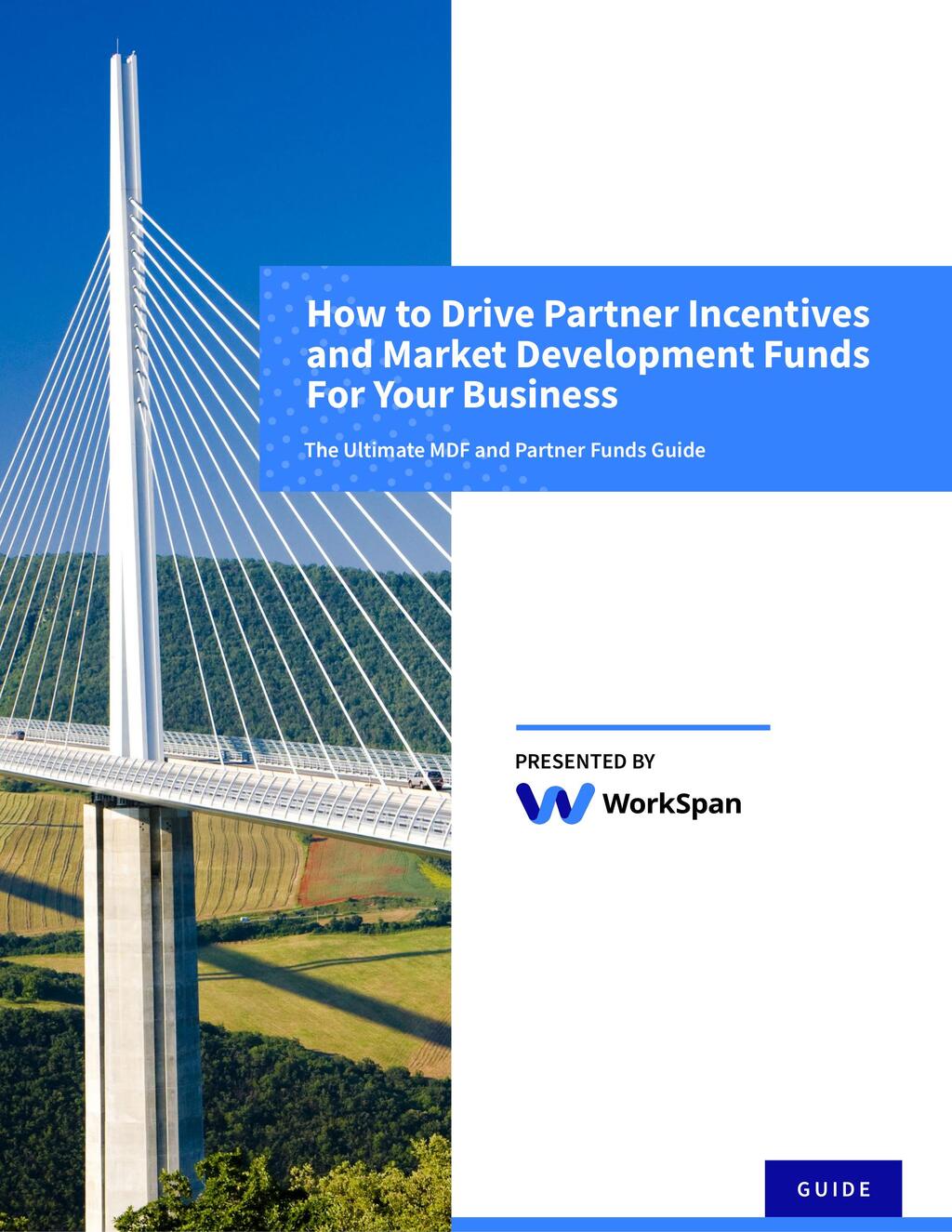 WorkSpan MDF Best Practices Guide