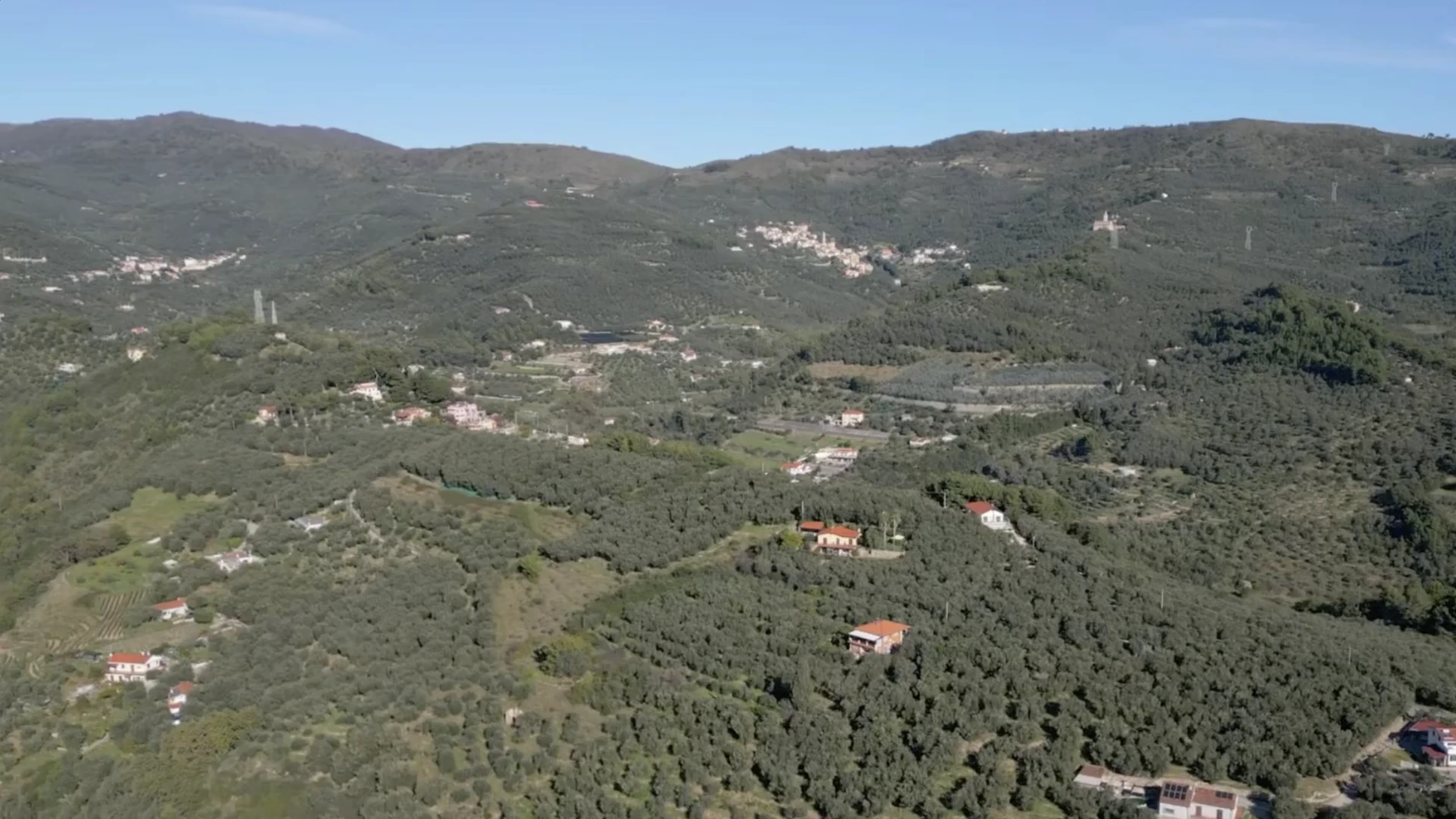 Aerial view of Italian olive groves in Liguria, where ITAWORLD produces its gourmet extra virgin olive oil.