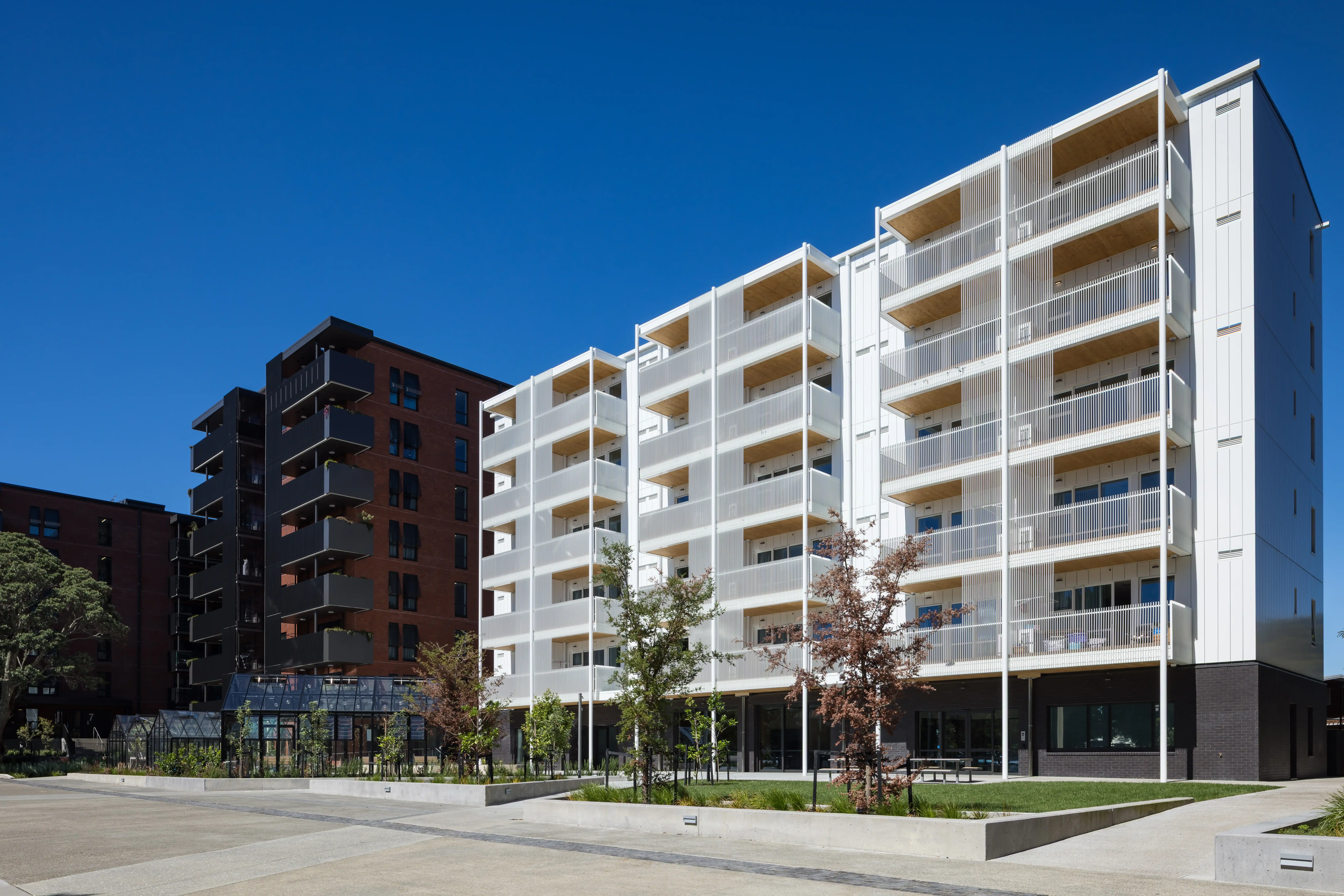 The connecting lane at Community Lane, Avondale, flanked by apartment buildings with aluminium balustrades and screens.