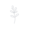modern 3 petal logo