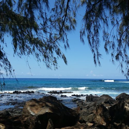 Scenic view of the rocky shoreline and blue ocean waves on Kauai, Hawaii, framed by overhanging tree branches under a clear sky.