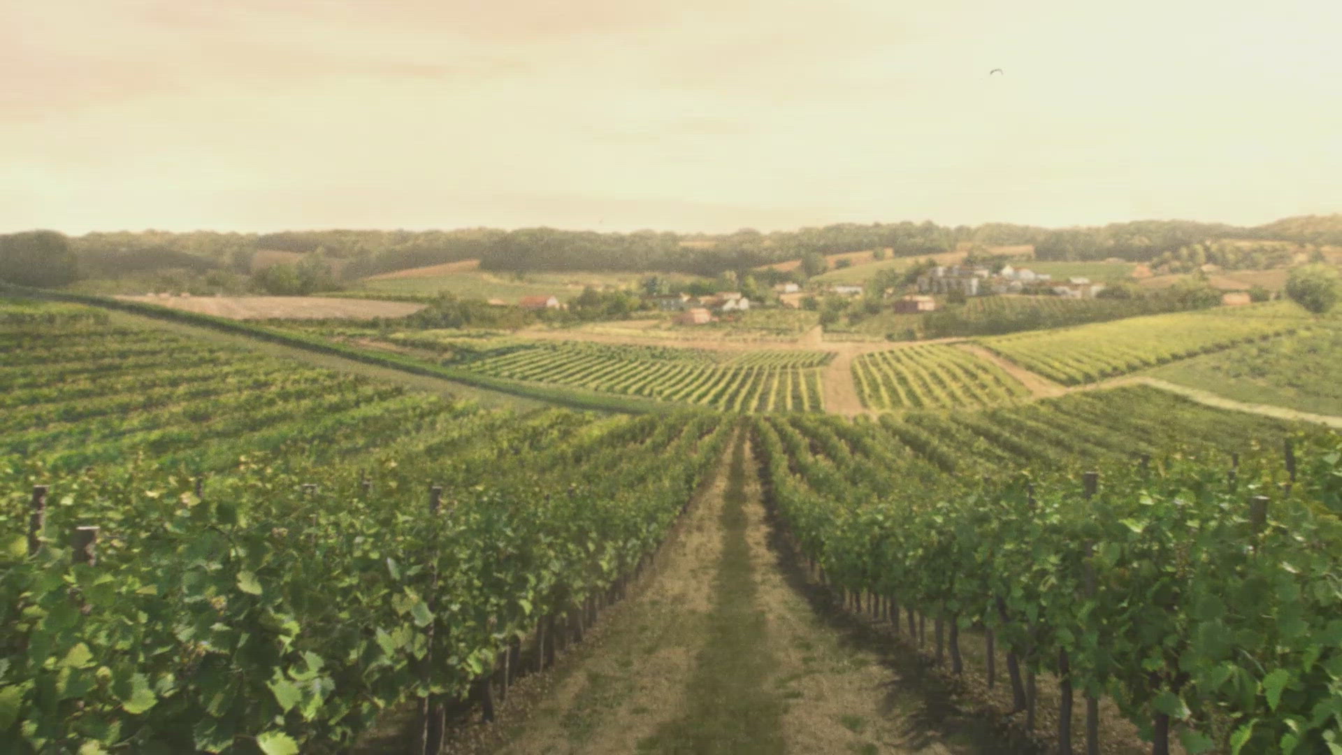 Rémy Martin: Team Up For Excellence