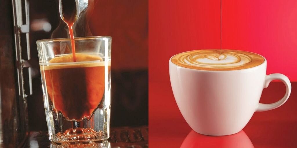 Red Espresso: The Tea You Can Drink as Espresso? - Perfect Daily Grind