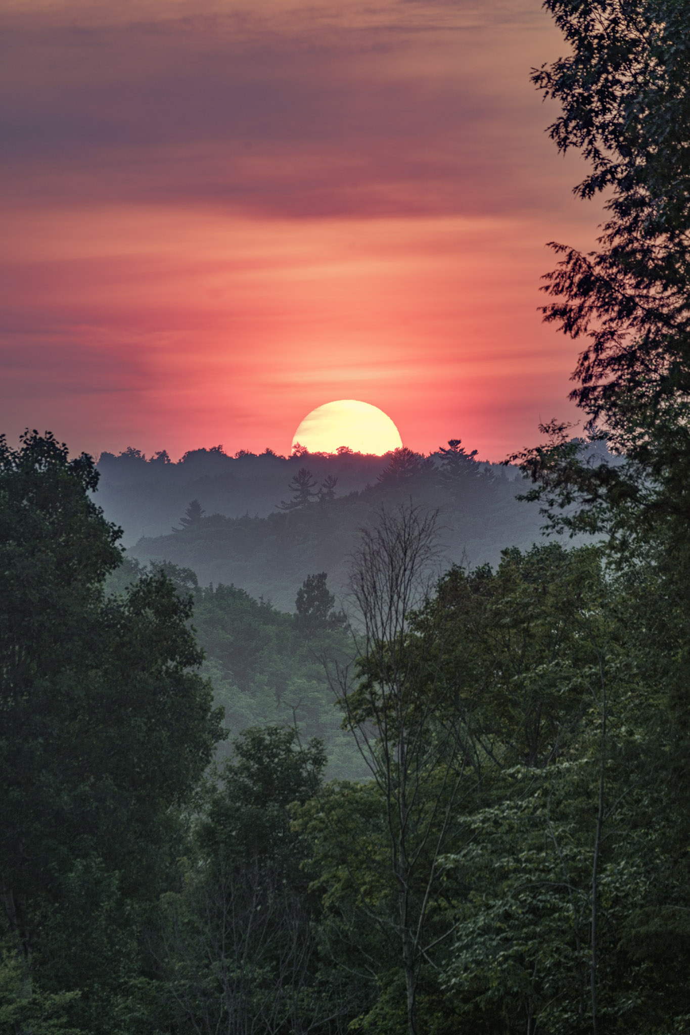 Sunset with a glowing orange sun partially hidden behind forested hills and surrounded by trees.