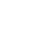soccer field icon