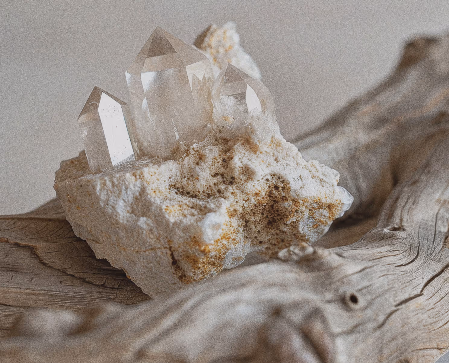 Cluster of clear quartz crystals emerging from a rough white stone, resting on a piece of driftwood.
