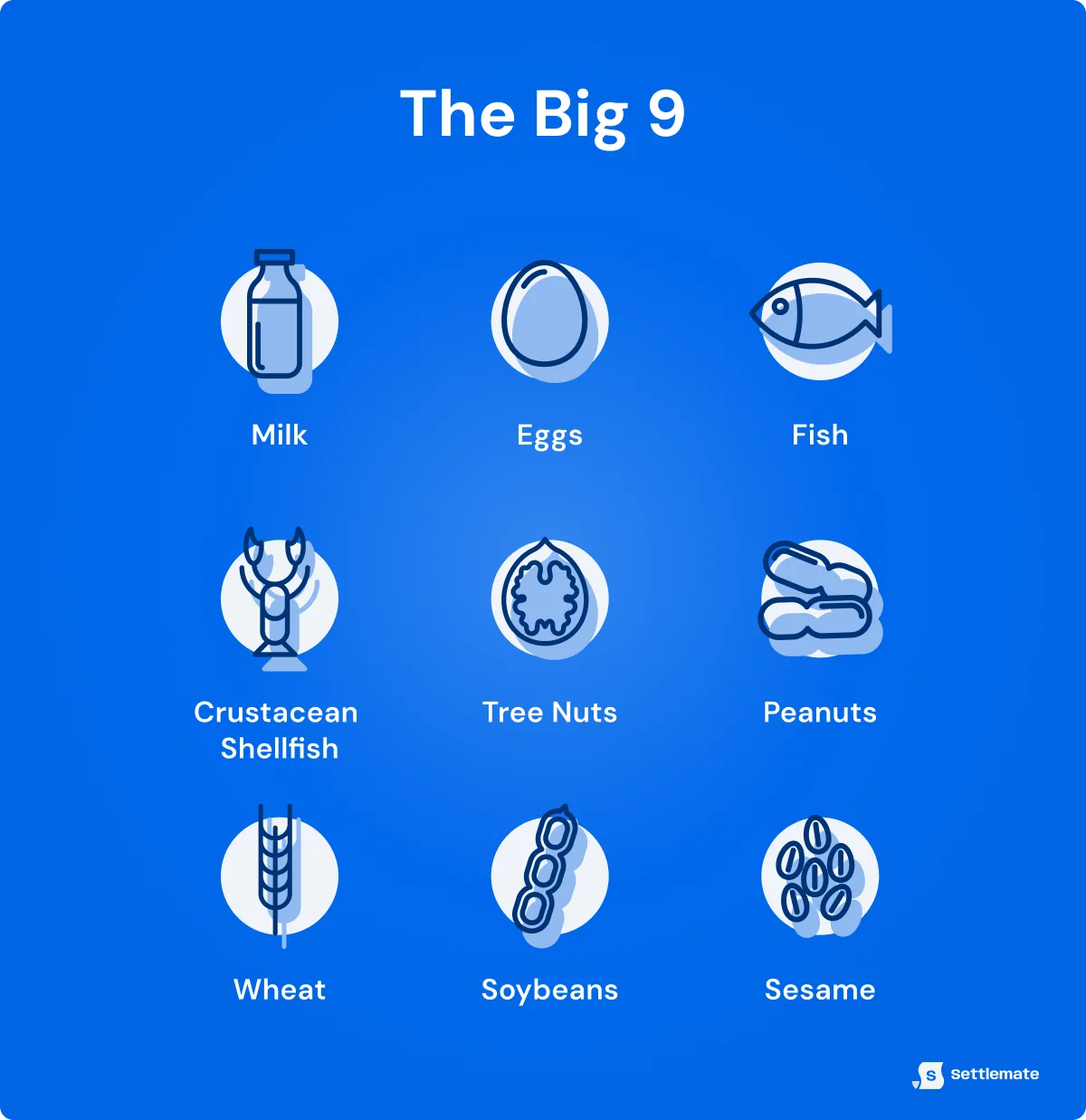 the-big-nine