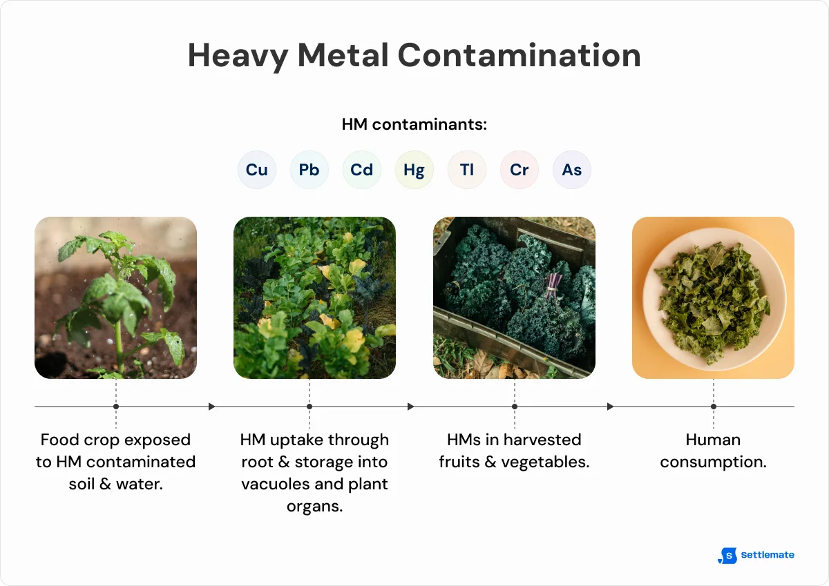 heavy-metal-contamination