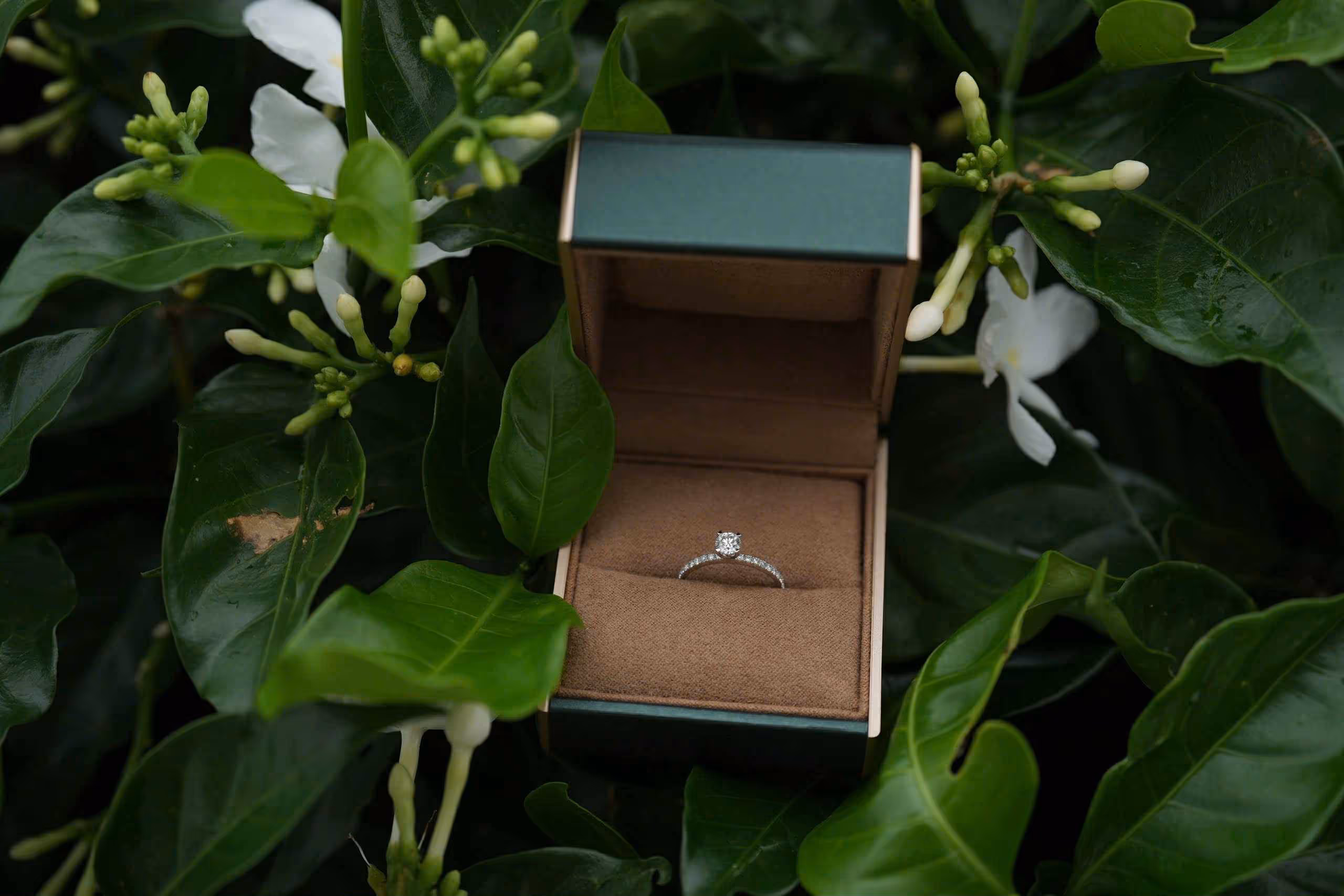 Ảnh Feedback khách hàng mua nhẫn của Lucy Bui Diamond