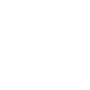 Branch & Regional Ops