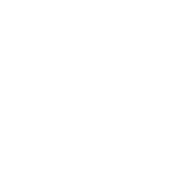 Service Levels & Compliance Attribute