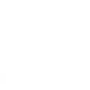 Mentorship & Community