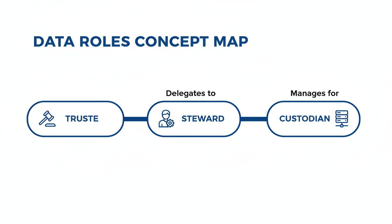 A data roles concept map illustrating the flow from Trustee, who delegates to Steward, managing for Custodian.