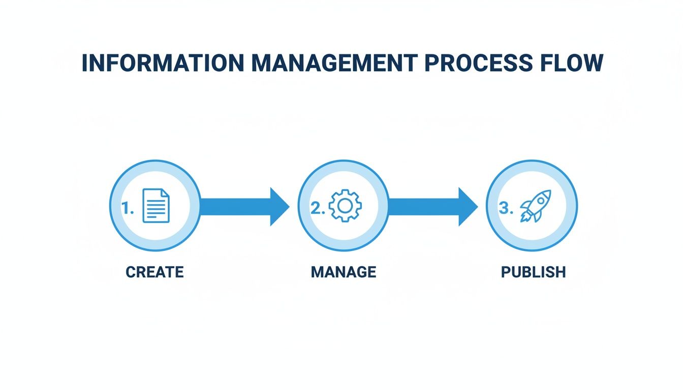 A three-step information management process flow diagram: Create, Manage, and Publish, shown with icons and arrows.