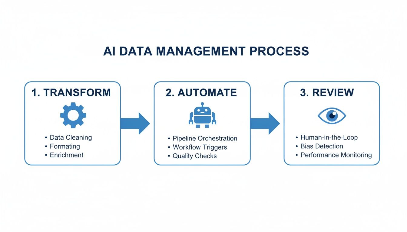 Diagram illustrating the AI data management process: transform, automate, and review steps.