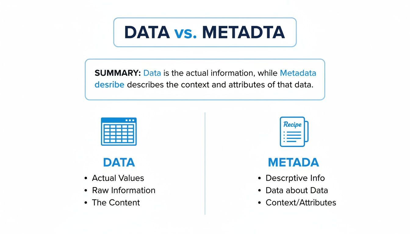 An infographic illustrating the difference between data and metadata with definitions and key characteristics.
