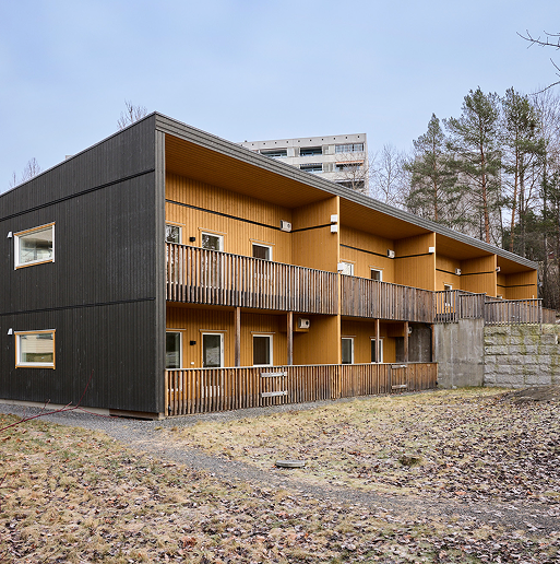 Grønt jorde i forgrunn og vann og skog i bakgrunn
