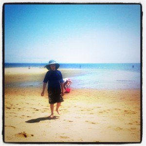 provincetown beach, beach photo