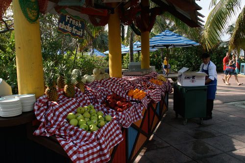 castaway cay