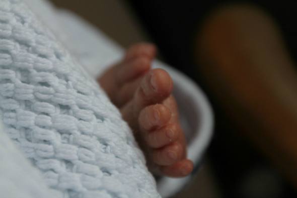 Feet of a newborn baby