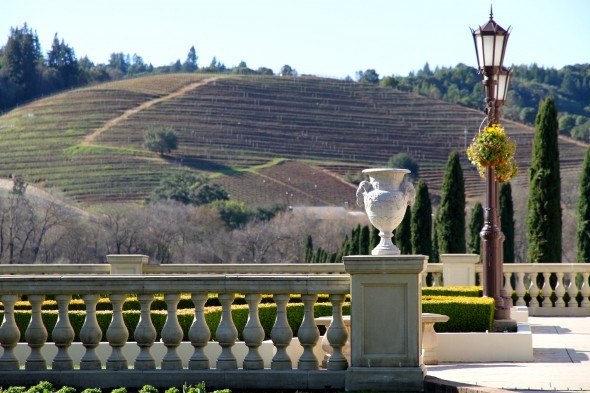 Ferrari-Carano patio 
