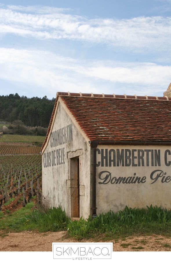 Burgundy, France