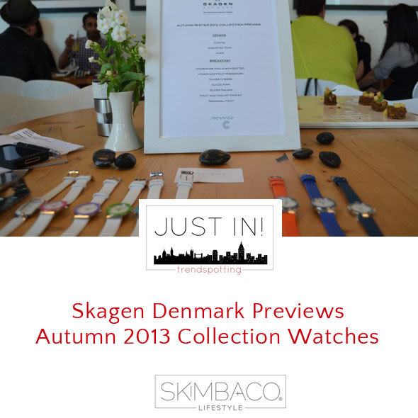 Skagen-Denmark-Previews-Autumn-2013-Collection-Watch