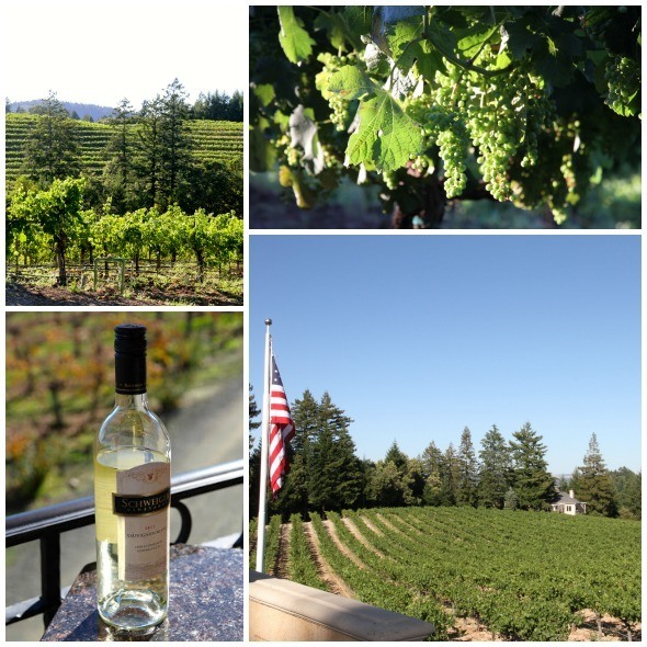 Schweiger Vineyards