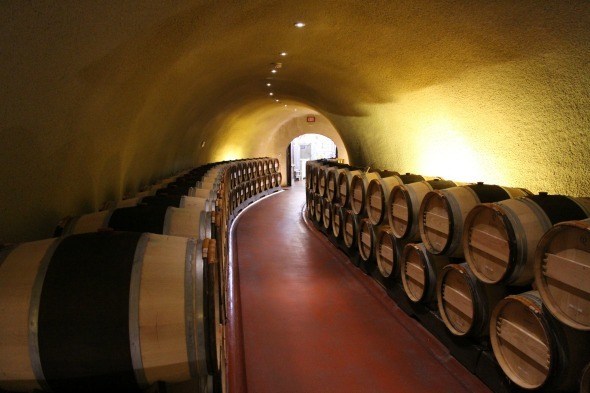 Vineyard 29 Cave