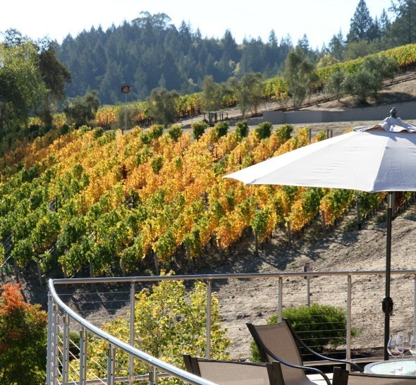 Vineyard 29 property