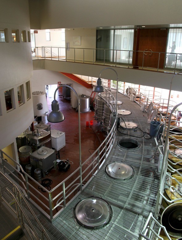Vineyard 29 Barrel Room 