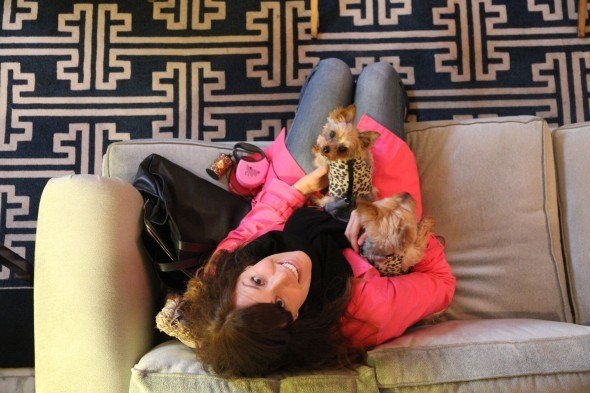 San Francisco Fairmont Hotel, a pet friendly property 