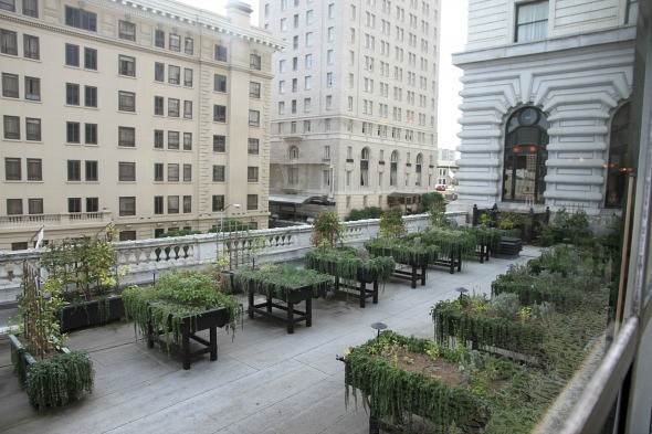 Rooftop Garden at The Fairmont San Francisco 
