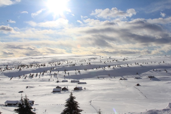 Snowy Frozen Norway I @SatuVW I Destination Unknown