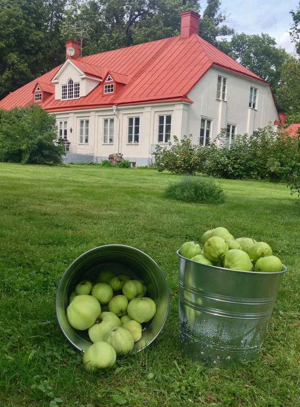 swedish-country-mansion