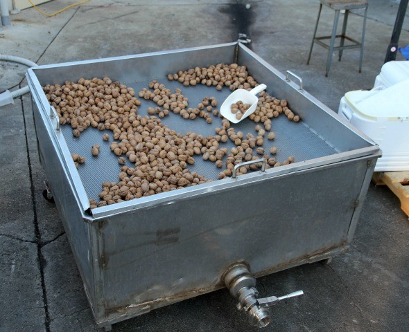 Adelaida Cellars Walnuts