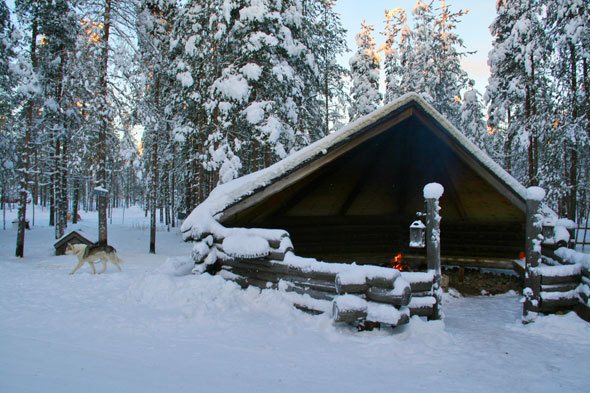 Lapland safari 