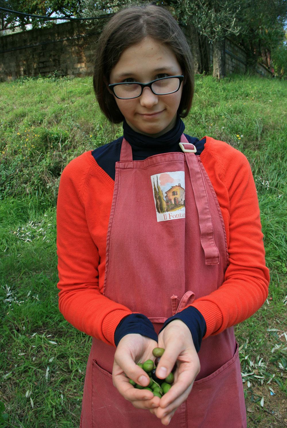Look mom! Olives! Gaby olive picking in Italy.