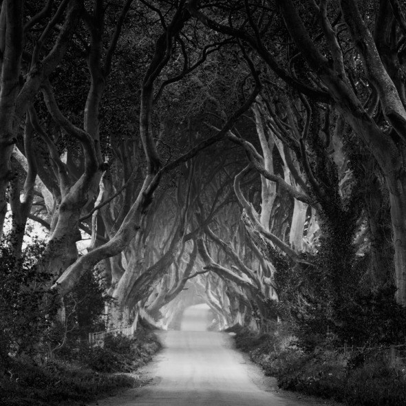 Brian Cooney Photography