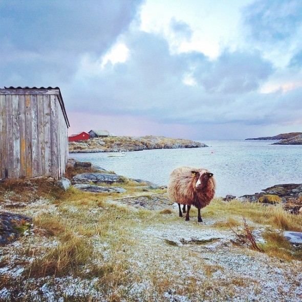 Island Life on Givær, Northern Norway I @SatuVW I Destination Unknown