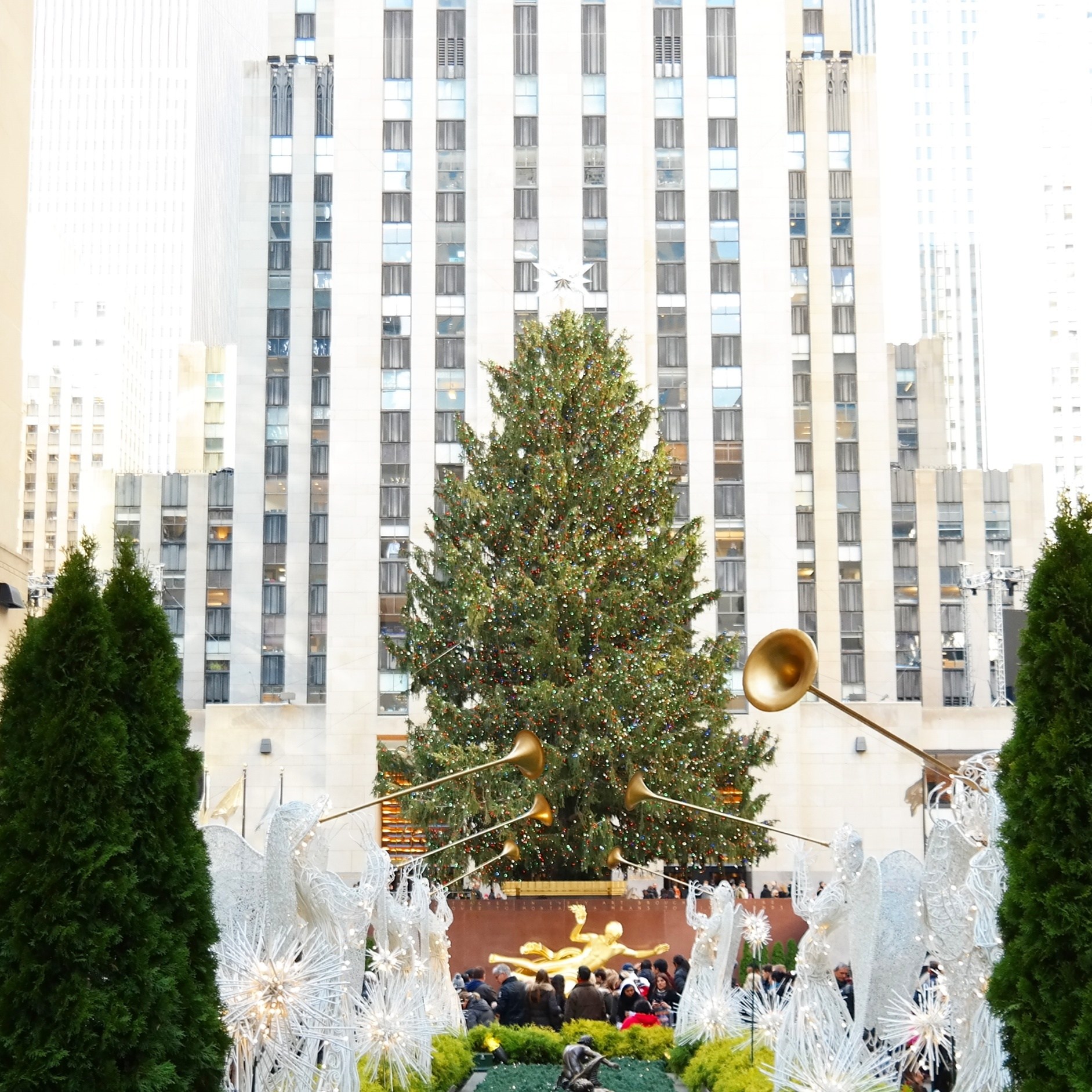 Christmas in NYC